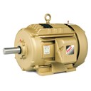 Baldor EFM3546T Motor - 1 HP, 1770 RPM, 3-Phase, TEFC, 60 Hz, 143T Frame
